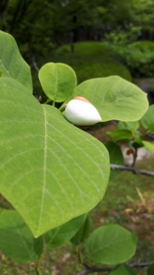 20190512_094503.jpg