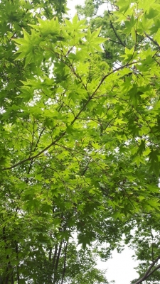 20190512_094620.jpg
