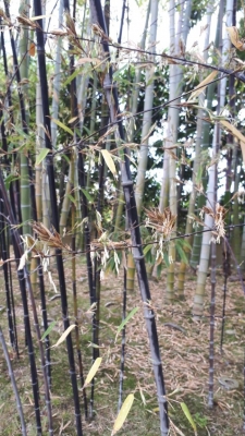20190512_094723.jpg