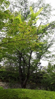 20190512_094749.jpg