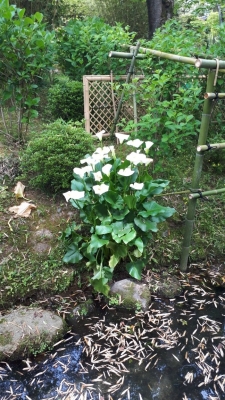 20190512_094804.jpg