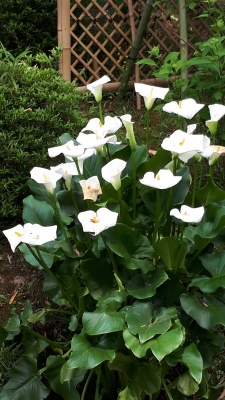 20190512_094809.jpg