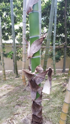 20190512_094834.jpg