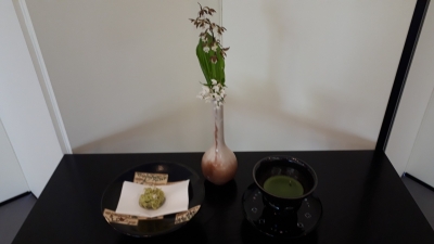 20190512_104029.jpg