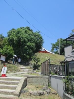IMG_4400.JPG