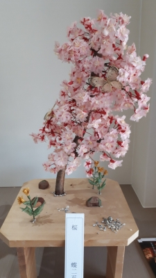 20190914_100035.jpg