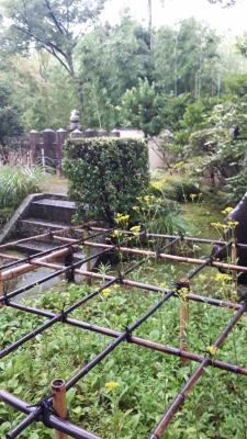 20200725_150927.jpg