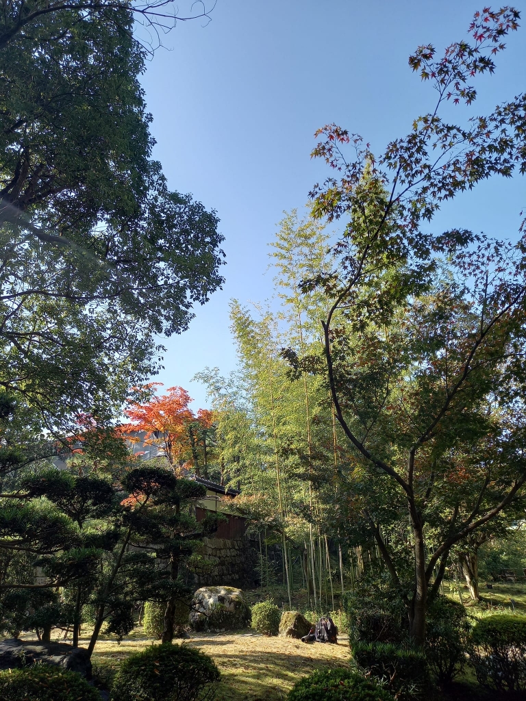 紅葉速報 松花堂庭園 | やわた走井餅老舗のブログ