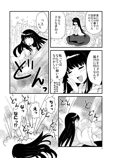 千年姫暁光前編10