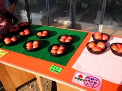 クリックで少しだけ拡大表示! 明石: 藤井農園〜絶品!完熟トマト・・・本当はあんまり教えたくない!