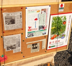 クリックで少しだけ拡大表示! 明石: 藤井農園〜ご紹介記事がコルクボードに貼り付けられてました!