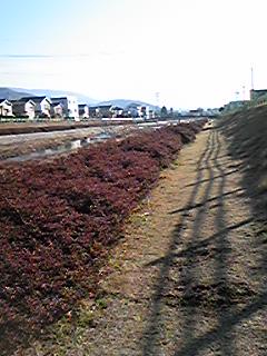 090204_1458~01.jpg