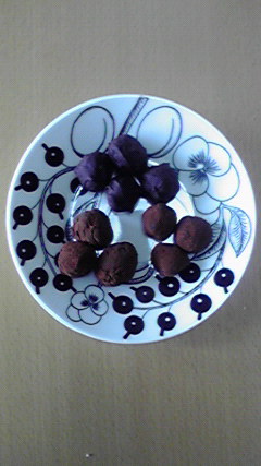 2009021408090000.jpg