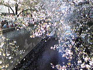 090408_1442~010001.jpg