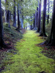 200905081739000.jpg