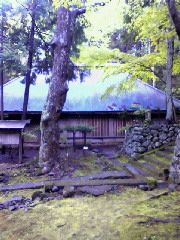200905081750000.jpg