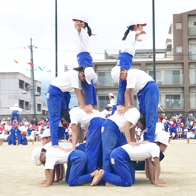 image1.JPG