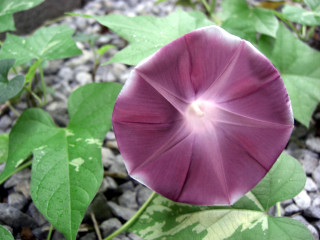 2007/09/01-04