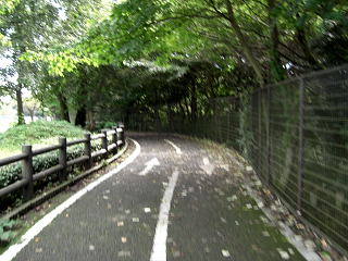 多摩湖自転車道