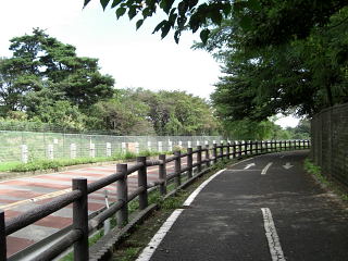 多摩湖自転車道