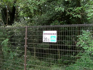 多摩湖自転車道
