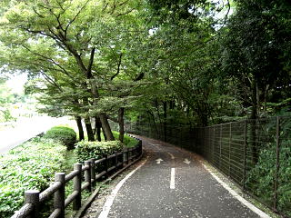 多摩湖自転車道