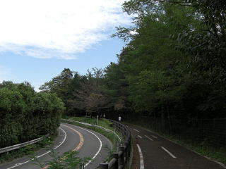 多摩湖自転車道