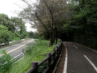 多摩湖自転車道