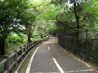 多摩湖自転車道