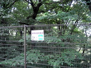 多摩湖自転車道