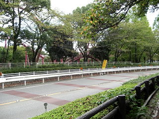 多摩湖自転車道