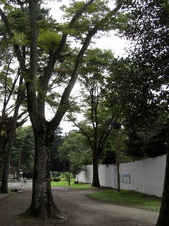 多摩湖自転車道
