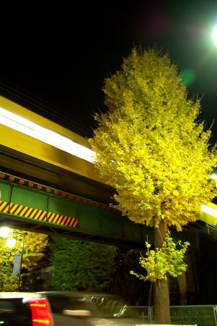 20061130