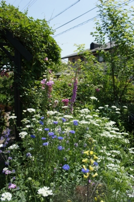 DSC02163.JPG