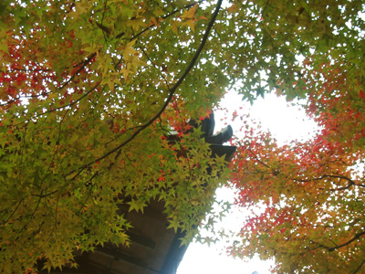 20051125_53779.jpg