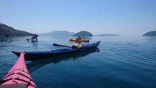 DSC_0975.jpg