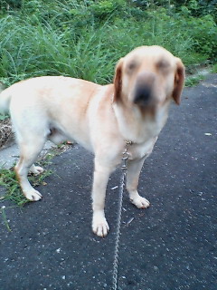 20060915_79574.jpg