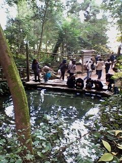 20061205_141512.jpg