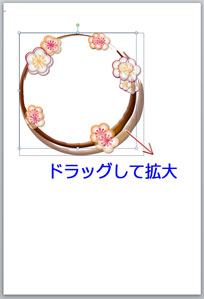 ÏȤÎǯ²ì¾õ¥¤¥é¥¹¥È¤ò³ÈÂç