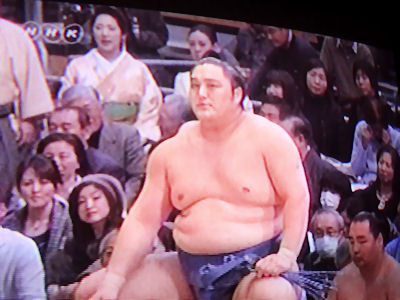 相撲 九州場所 02