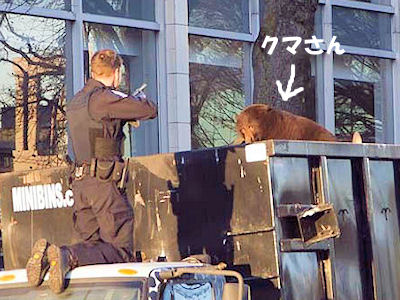 野生のクマがウロウロ 04
