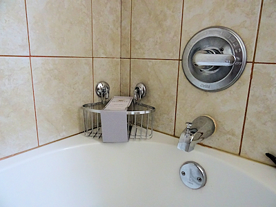 ��Ϥ���ʪ����