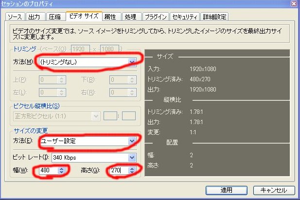 ビデオサイズ