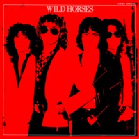 WildHorses