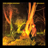 Crocodiles