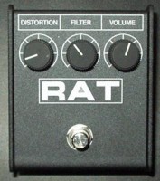 rat