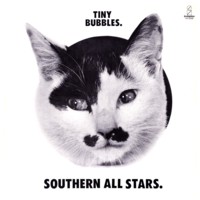 TinyBubbles