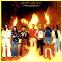 StreetSurvivors