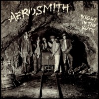 Night In The Ruts