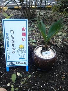 日光浴中